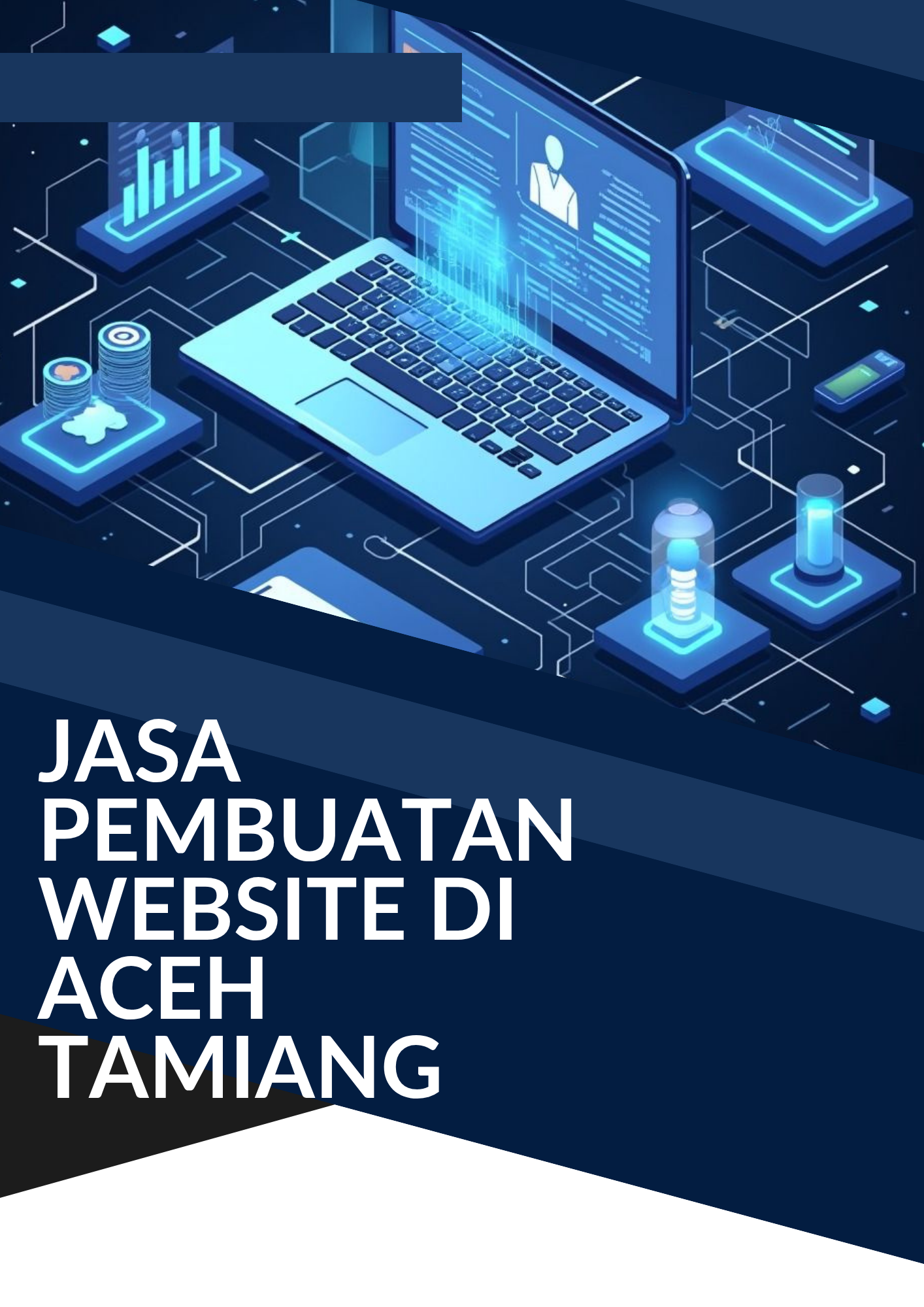 Jasa Pembuatan Website di Aceh Tamiang
